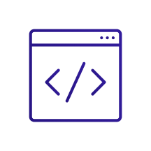 Website Developer